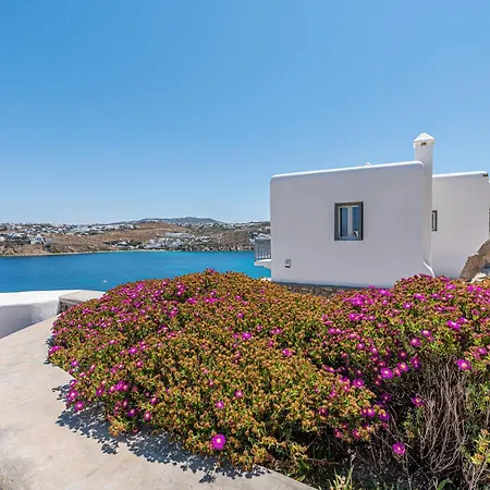 Carpe Diem Villas Mykonos ,Heated Pool! Ornos  Exterior photo